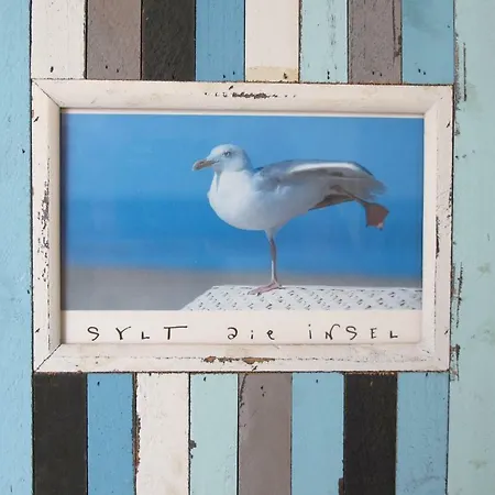 Mowennest * Morsum (Sylt)